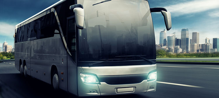 bus